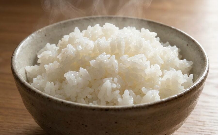 炊き立ての新潟コシヒカリ